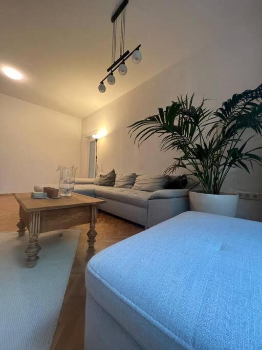 Ganzes Haus In Der Altstadt, Ideal Fuer 2 Personen, 4 Gaeste Moeglich Quakenbrück المظهر الخارجي الصورة